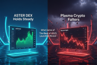 ASTER DEX محکم می‌ماند در حالی که Plasma Crypto دچار مشکل شده: آنچه بعضی از بهترین عرضه‌های ۲۰۲۵ نشان می‌دهند!